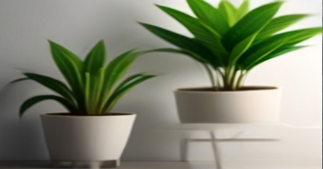 How to Fix Water-Repellent Hydrophobic Soil in Potted Plants (The Liquid Dish Soap Trick)